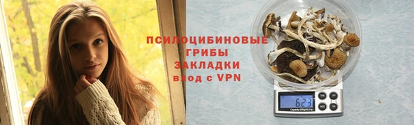 метадон Богородицк