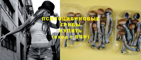 прущие крисы Богородск