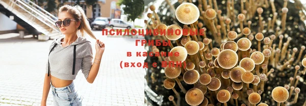 метадон Богородицк