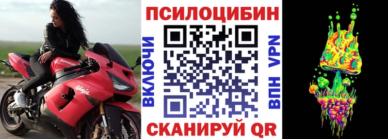 Галлюциногенные грибы Cubensis  Купить закладки  Киреевск 